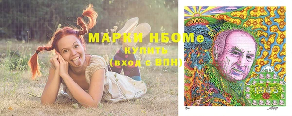 МДПВ Ленинск