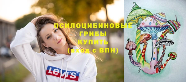 мяу мяу кристалл Чердынь