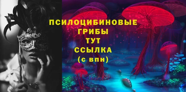 трава Чекалин