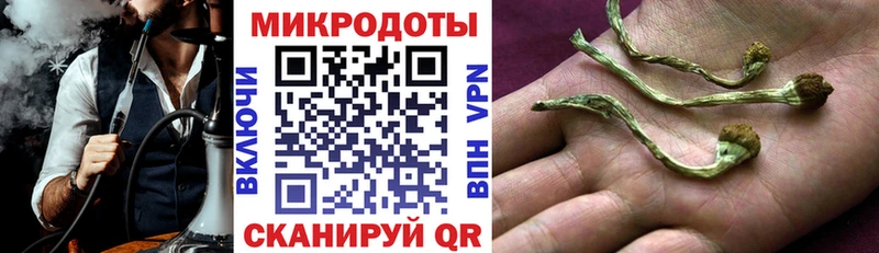 продажа наркотиков  Красный Сулин  Псилоцибиновые грибы Psilocybe 