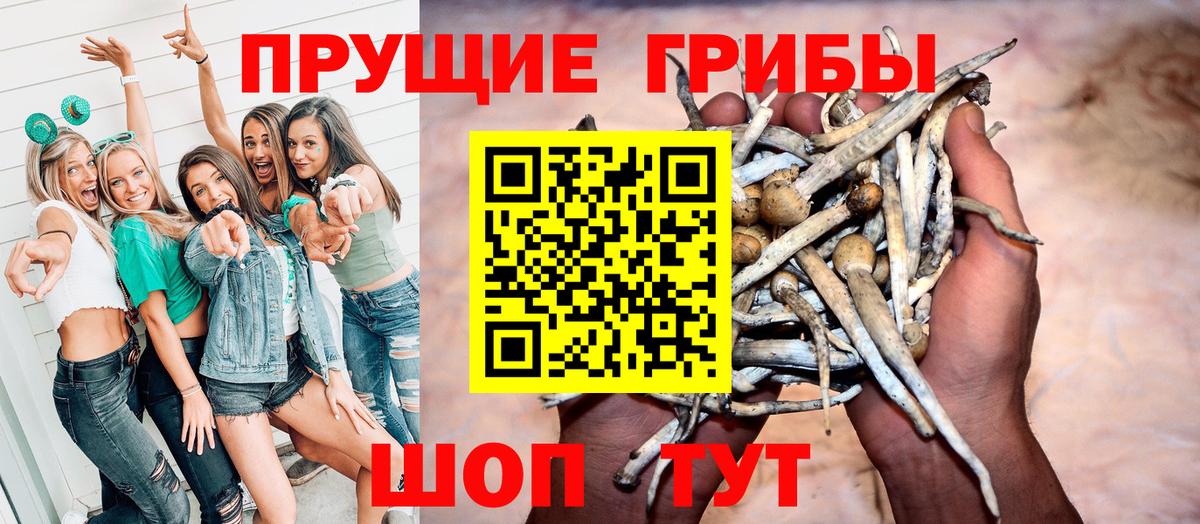 Псилоцибиновые грибы Psilocybine cubensis Красный Сулин