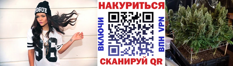купить   Красный Сулин  Бошки марихуана OG Kush 