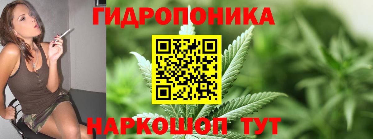 Каннабис MAZAR  Каннабис Bruce Banner  Вход с VPN  Бошки марихуана семена  Красный Сулин 